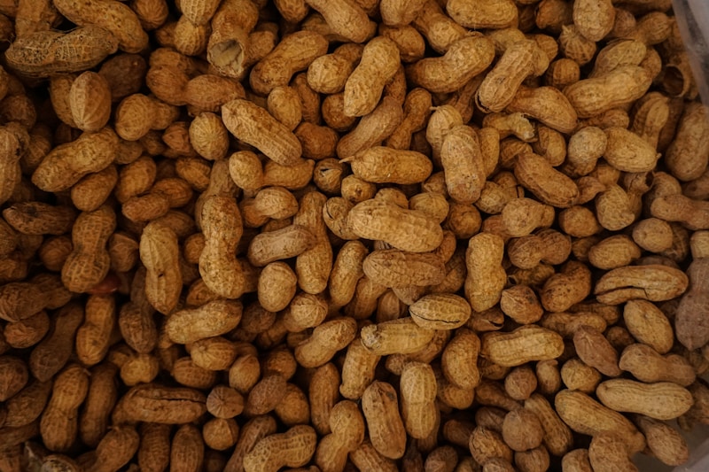 Groundnut